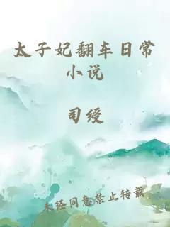 太子妃翻車日常小說