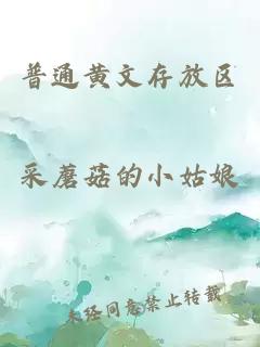 普通黃文存放區(qū)